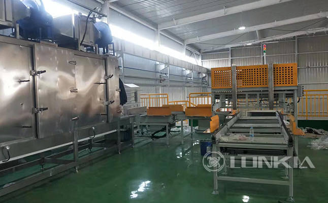 Plastic Pallet Washing and Drying Production Line Project Inner Mongolia