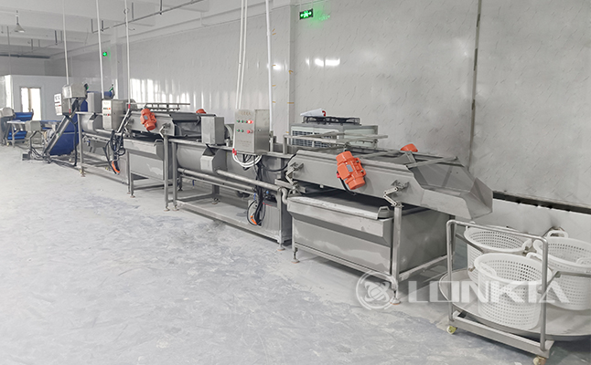 Salad Vegetable Washing and Cutting Processing Line Project Poland