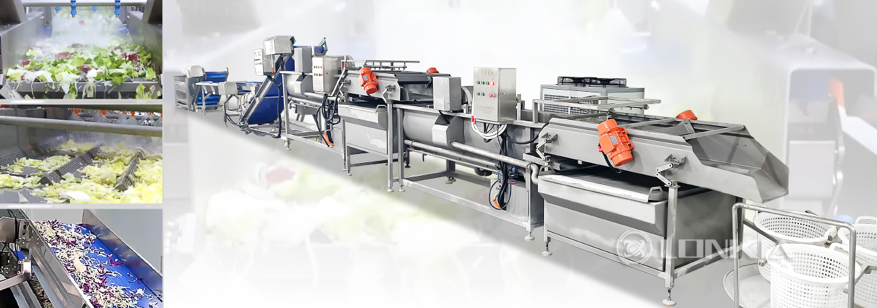 Salad Processing Production Lines