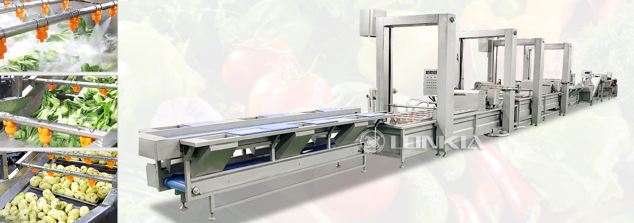 Clean Vegetable Processing Production Line