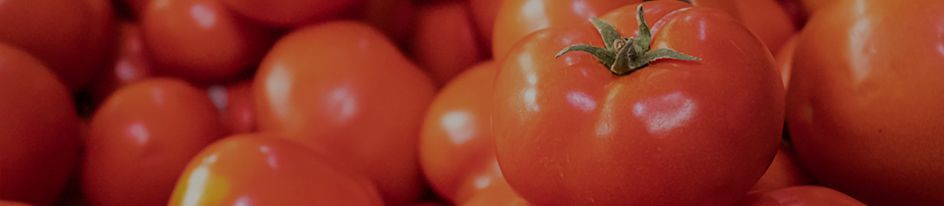 Tomato Steam Peeling Production Line Solution
