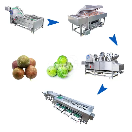 Passion Fruit Washing and Grading Line