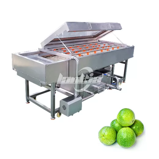 Passion Fruit Washing and Grading Line