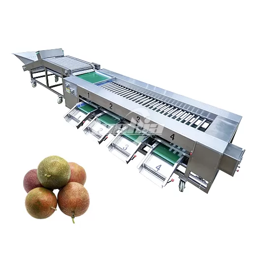 Passion Fruit Washing and Grading Line