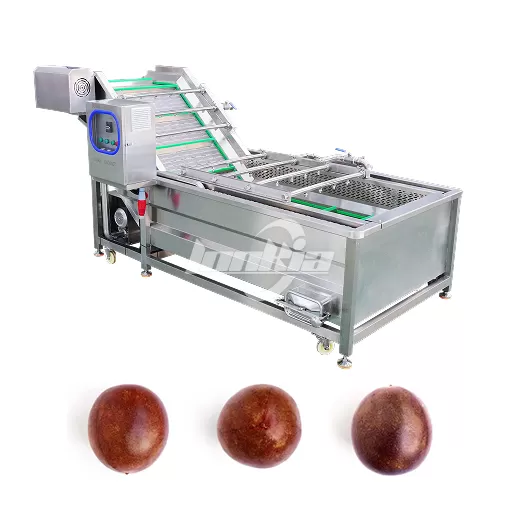 Passion Fruit Washing and Grading Line