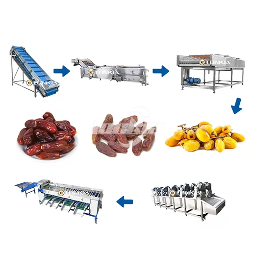 date processing line