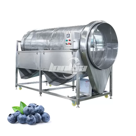 Blueberry Destemming and Washing Line