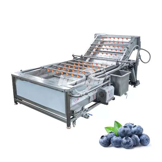 Blueberry Destemming and Washing Line