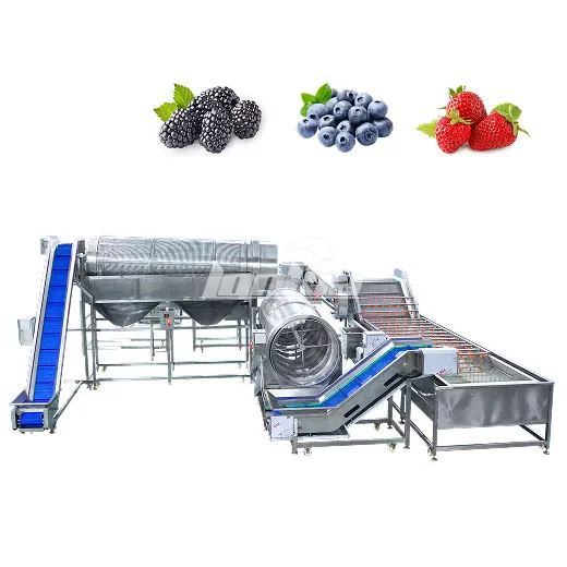 Blueberry Destemming and Washing Line