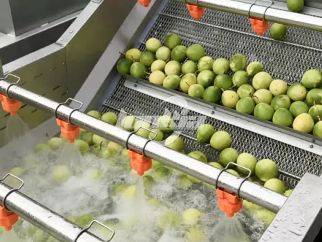 Passion Fruit Processing line