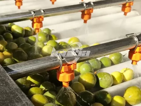 Passion Fruit Processing line