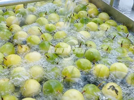Passion Fruit Processing line