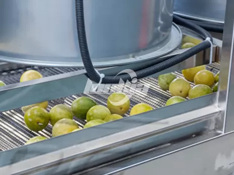 Passion Fruit Processing line