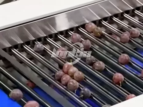 Passion Fruit Processing line