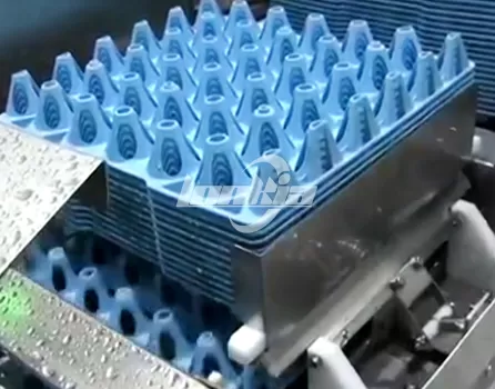 Egg Tray Washer