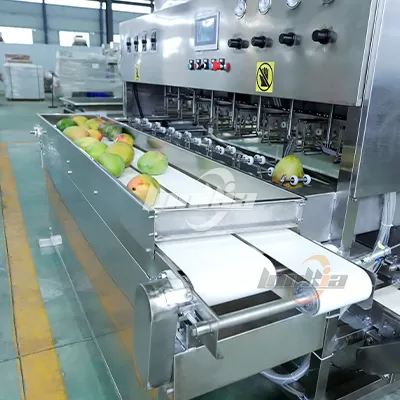 Mango Processing Lines