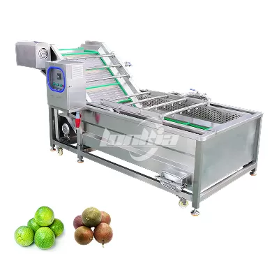 Fruit Vegetable Bubble Washer