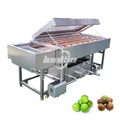Parallel Brush Roller Machine