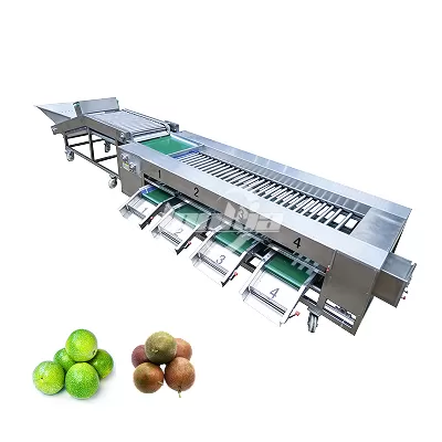 Fruit vegetable Grading Equipment