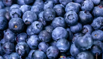 Blueberry