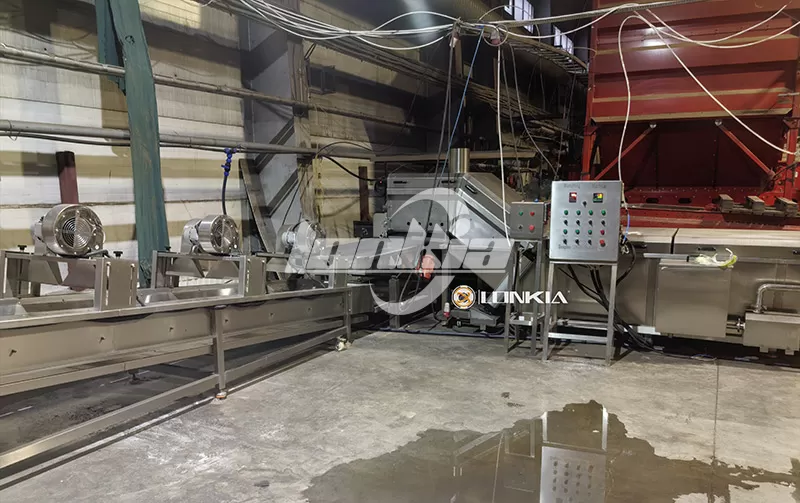 What Is the Best Potato Sorting and Grading Line for Large-Scale Potato Processing?