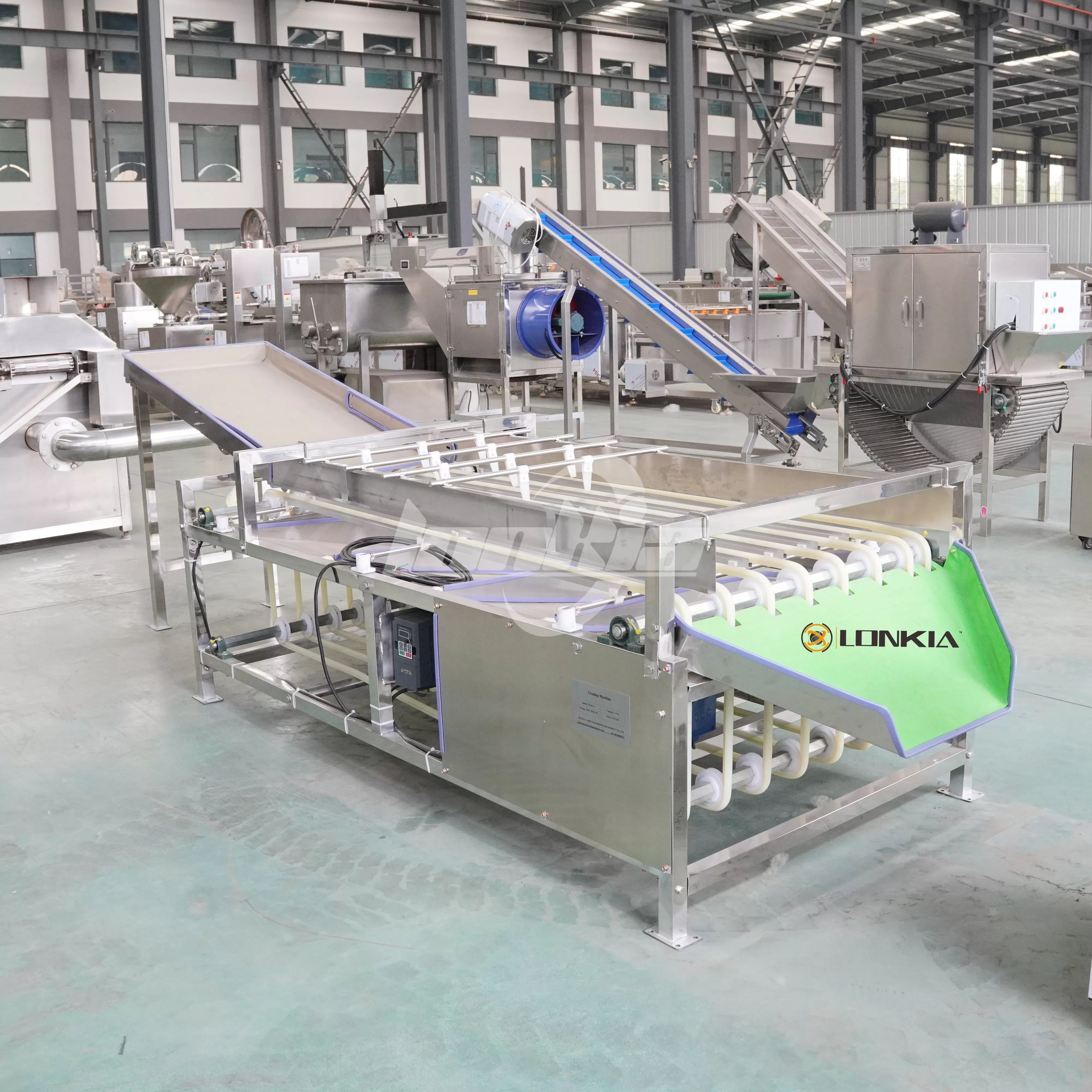 Top 5 Food Grading Machines Used in Modern Food Production Lines