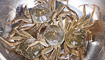 Crab