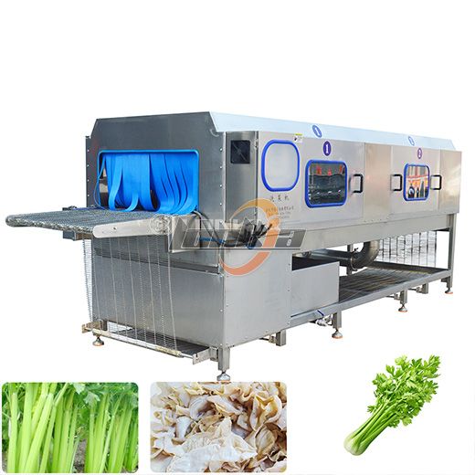 Fruit Vegetable Tunnel Washer