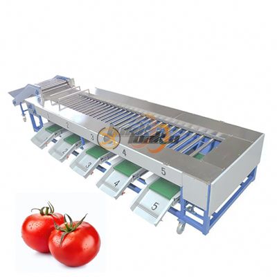Fruit vegetable Grading Equipment