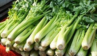 Celery