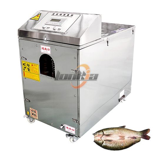 Fish Killing Machine