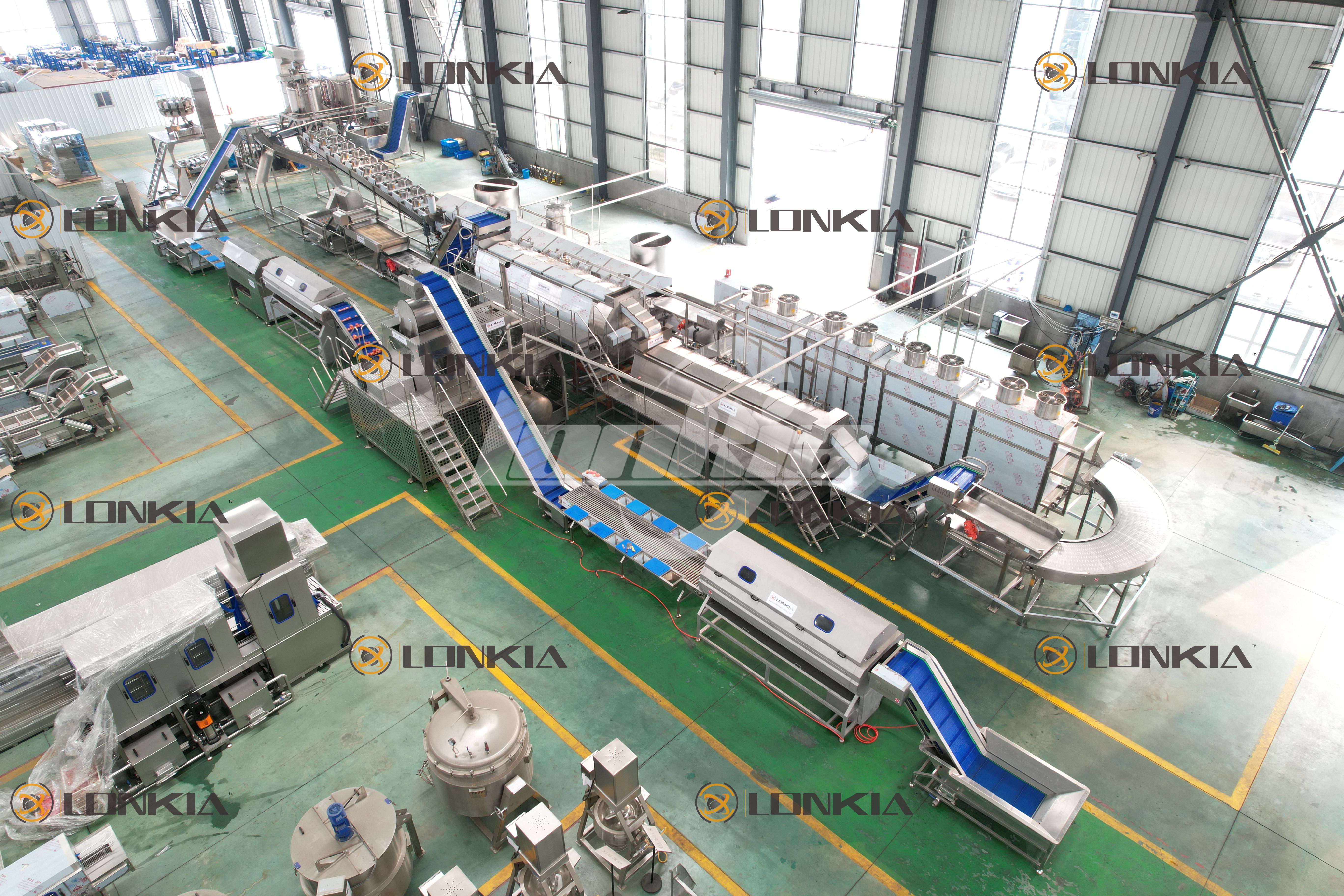 200kg/h French Fries & Potato Chips Production Line: Complete Processing Solution by LONKIA