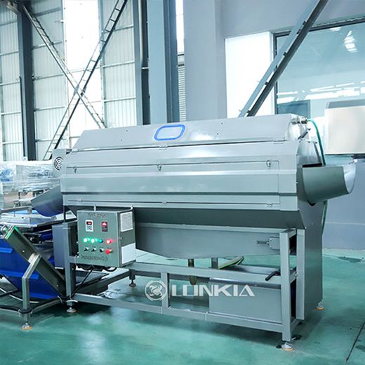 Potato Peeling, Cutting & Blanching Line