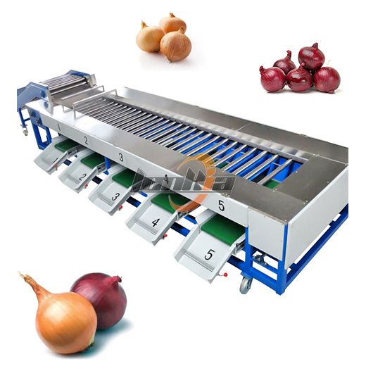 Onion Grading Machine