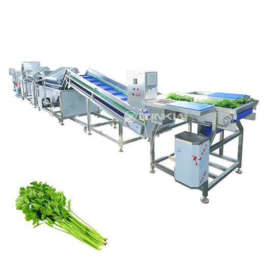 Parsley Washing Line