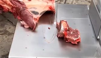 Bone