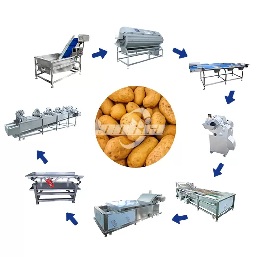 Automated Potato Peeling Cutting Blanching Line