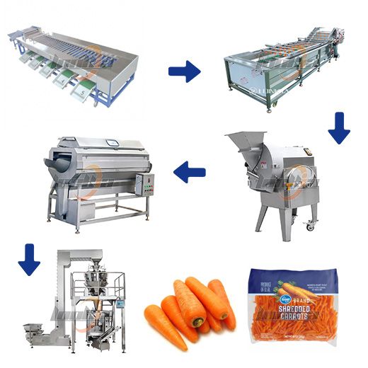 Fully Automatic Carrot Processing Line: From Washing to Packaging