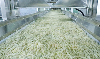 Potato Peeling, Cutting & Blanching Line Video