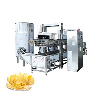 Continuous Frying Machine