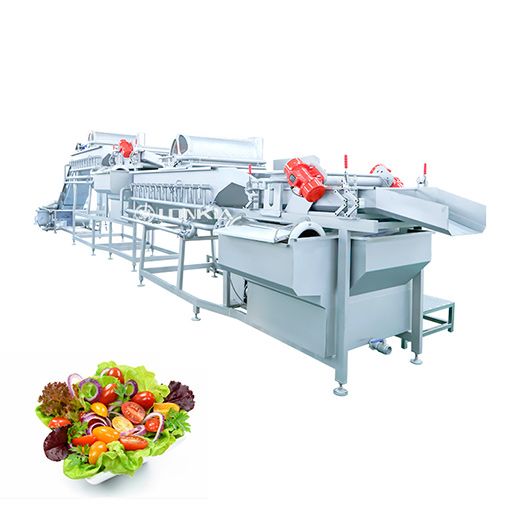 Salad Washing & Drying Line
