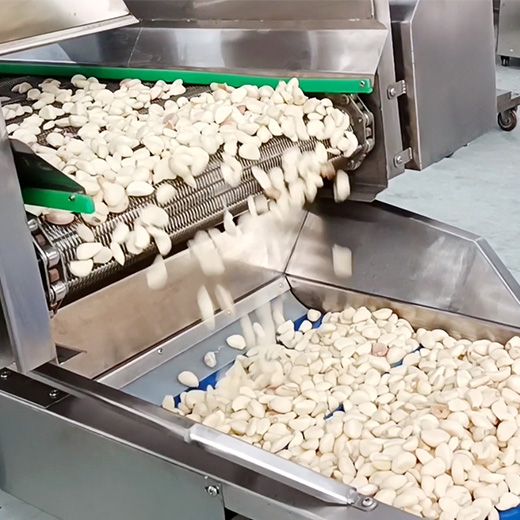 Garlic Peeling Production Line