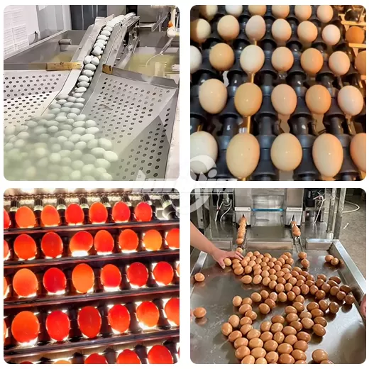 Automatic Egg Washing Line