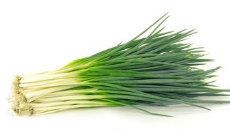 Scallion