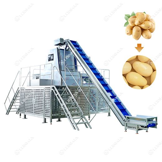 Frozen French Fries Production Line