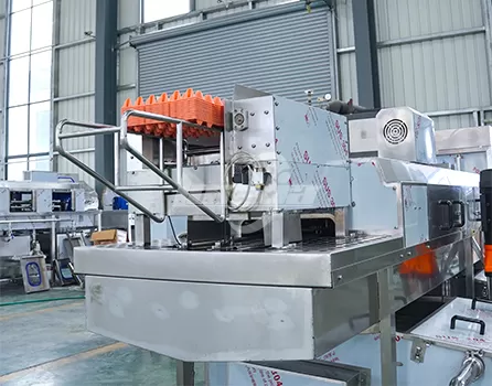 Egg Tray Washer