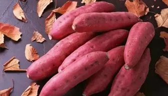 Sweet Potato