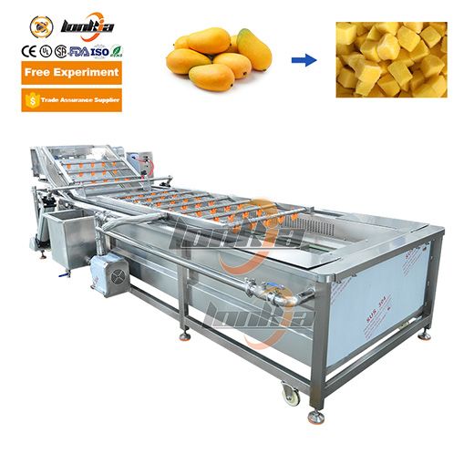 Frozen Mango Processing Line