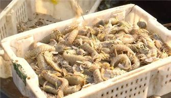 Seafood Basket