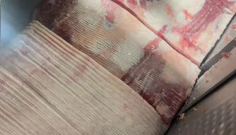 Meat